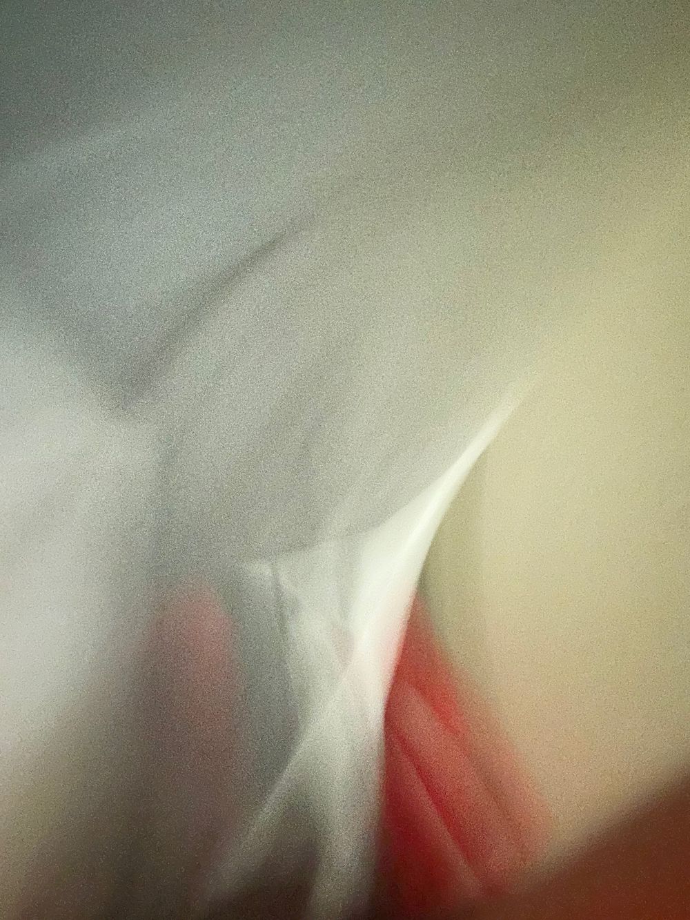 the0nlyrastaluv OnlyFans profile picture