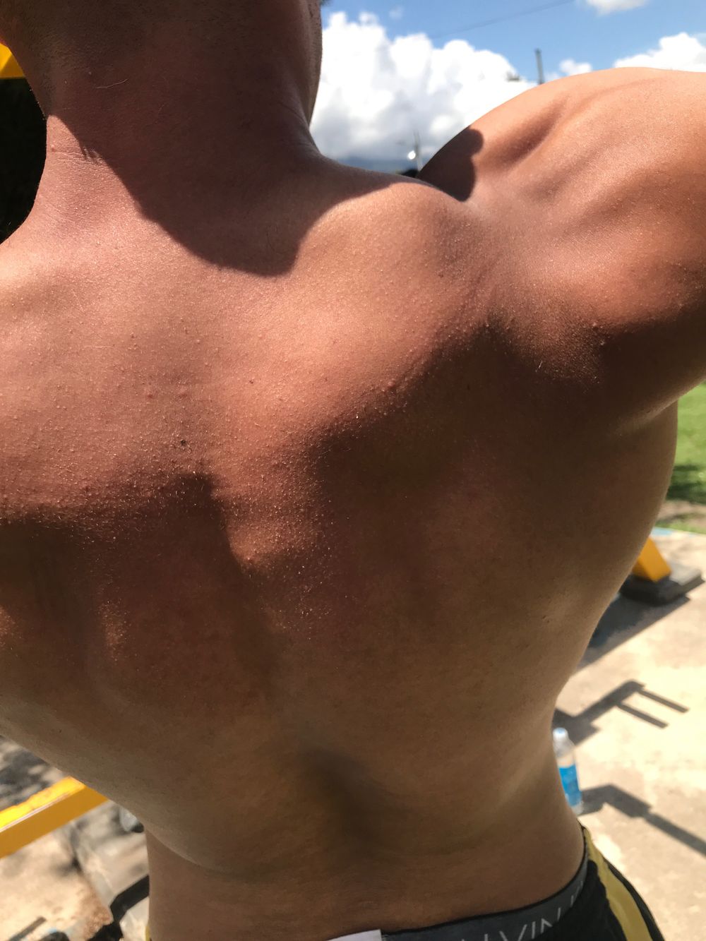 diegodavidtorres OnlyFans profile picture
