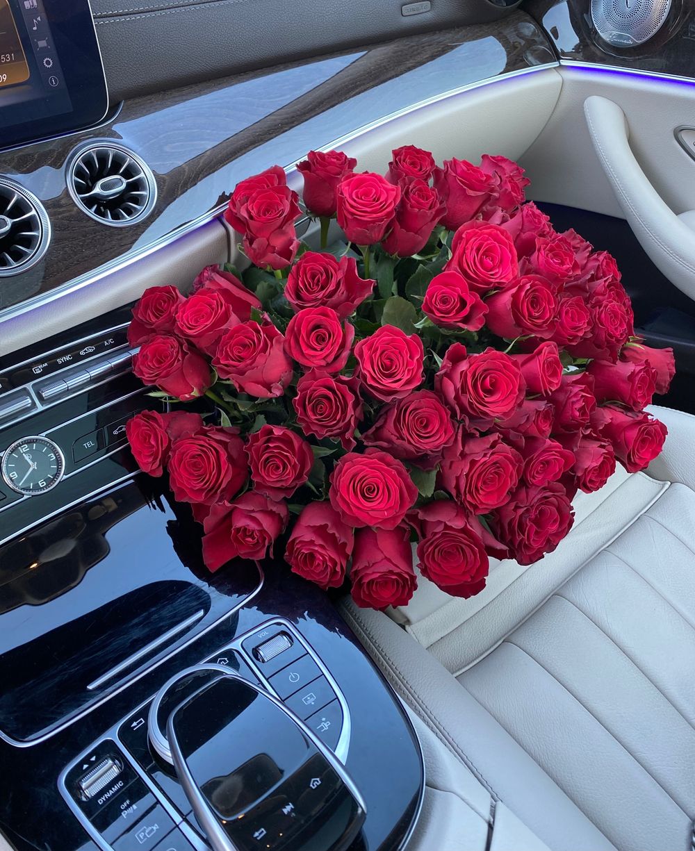 nadi_mur OnlyFans - Stats, Graphs, Photos & Profile Comparisons | FansMetrics.com