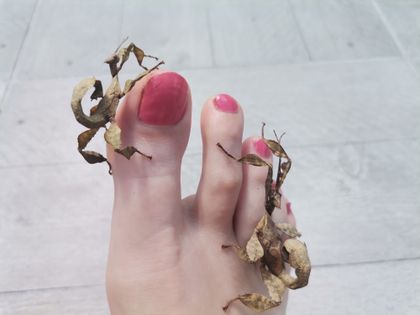 foot.and.snake OnlyFans picture