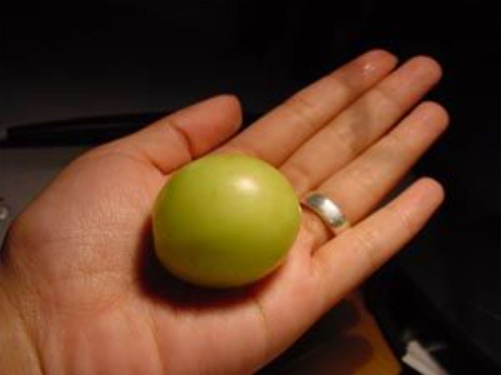 thegreatgrape OnlyFans profile picture