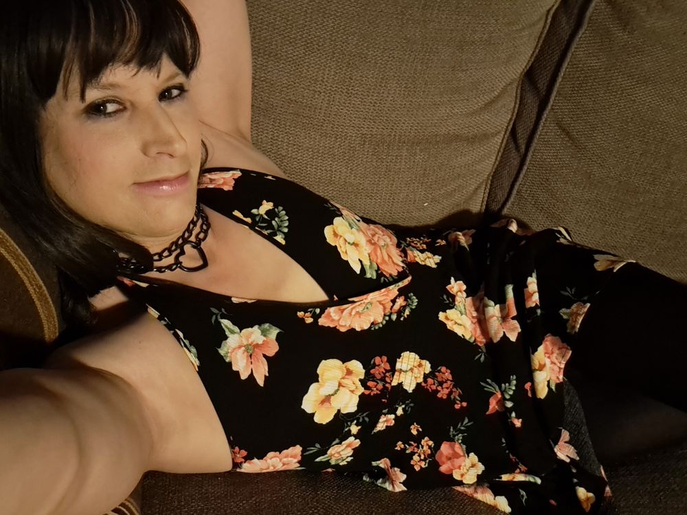 feralfox79 OnlyFans profile picture