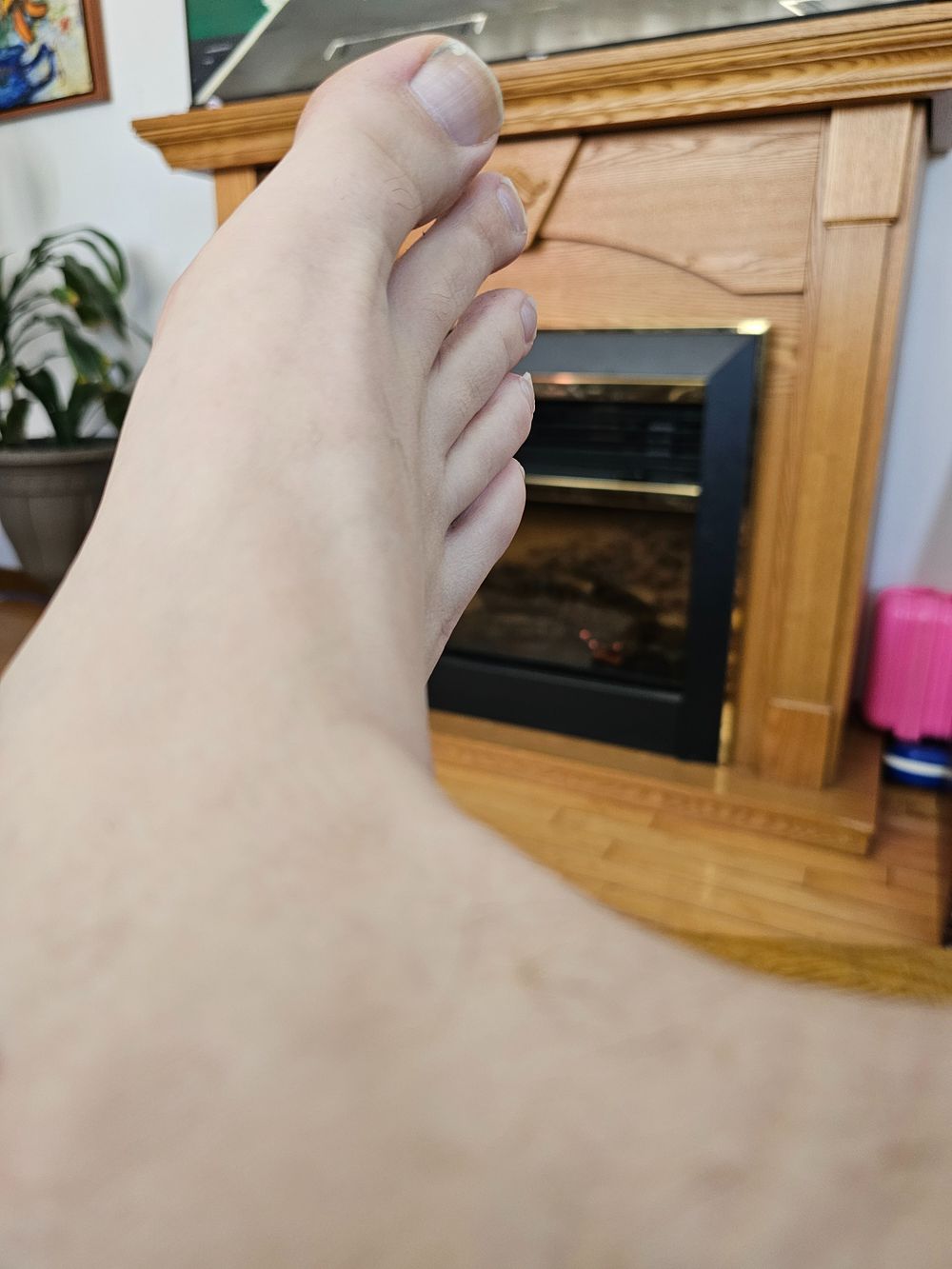 u82837247 OnlyFans profile picture