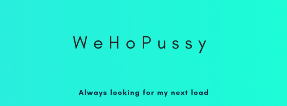 wehopussy OnlyFans profile picture