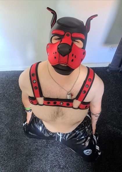 puppycal OnlyFans picture