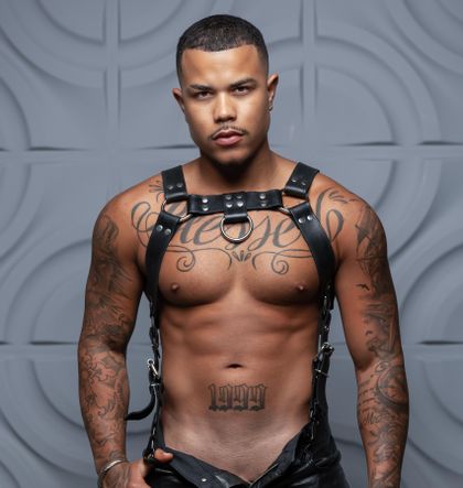 feliipecarioca OnlyFans picture