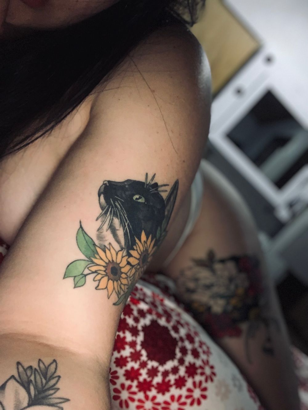 stasara OnlyFans profile picture