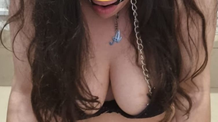 soynaru OnlyFans profile picture