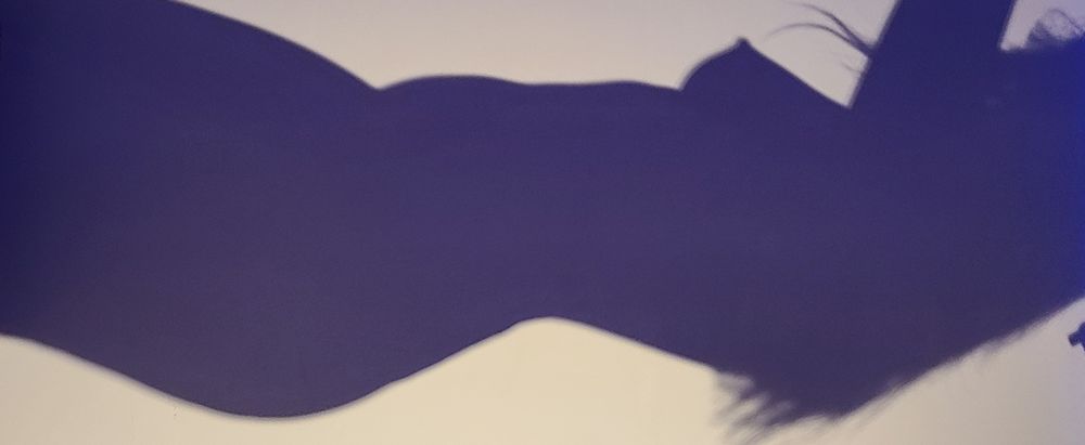 madmoxy OnlyFans profile picture