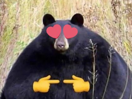 jawbreakerbear OnlyFans picture