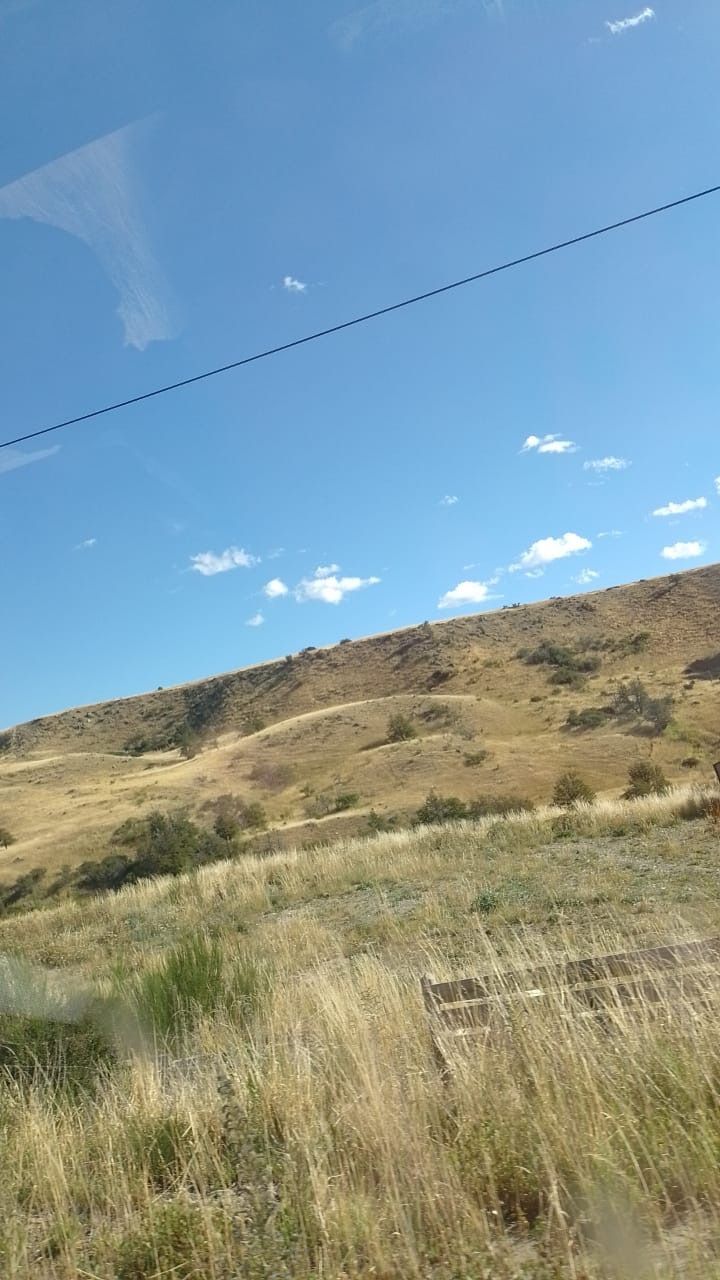 zorrit0callejero OnlyFans profile picture