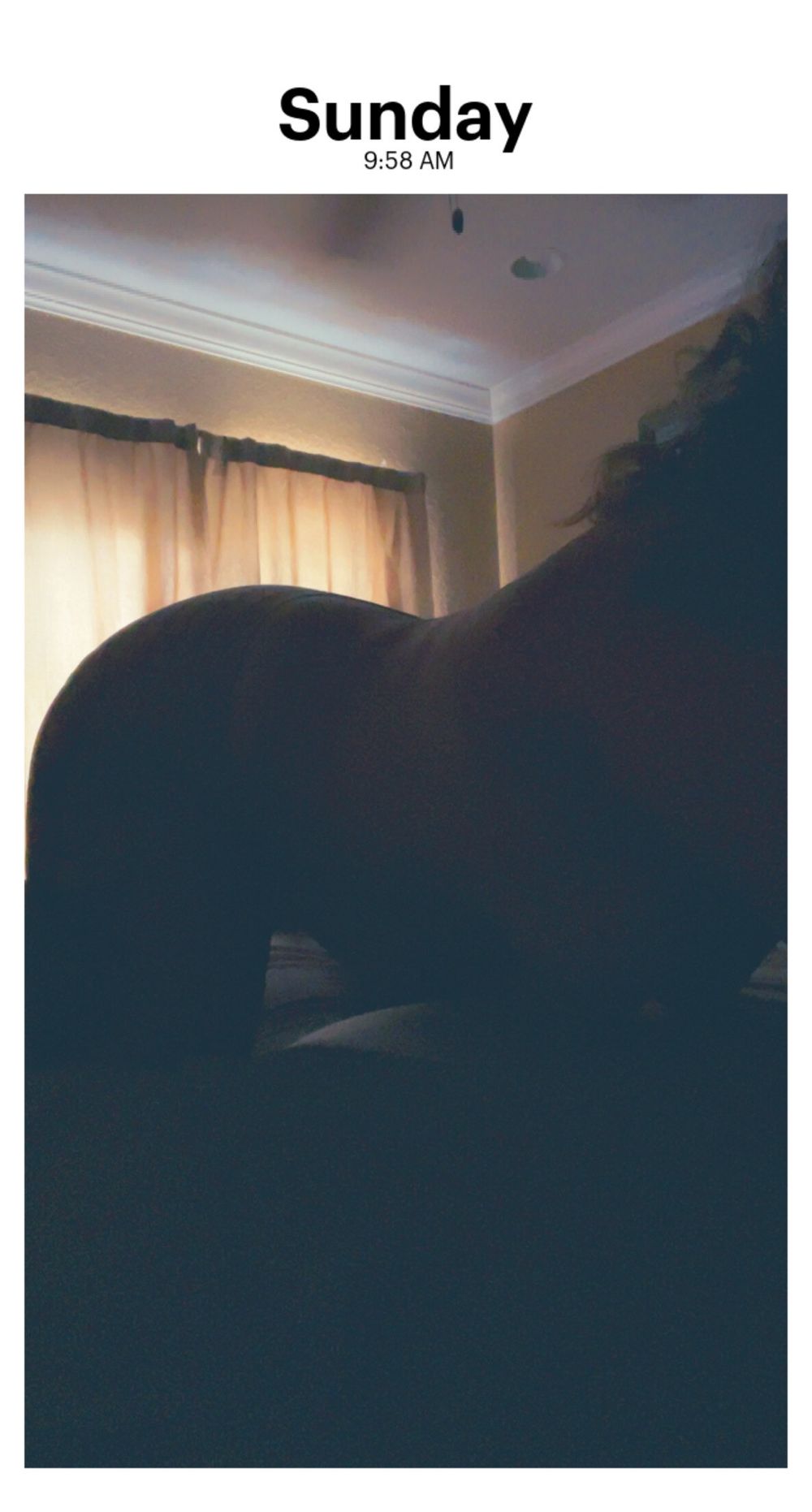 maddiebduncan OnlyFans profile picture