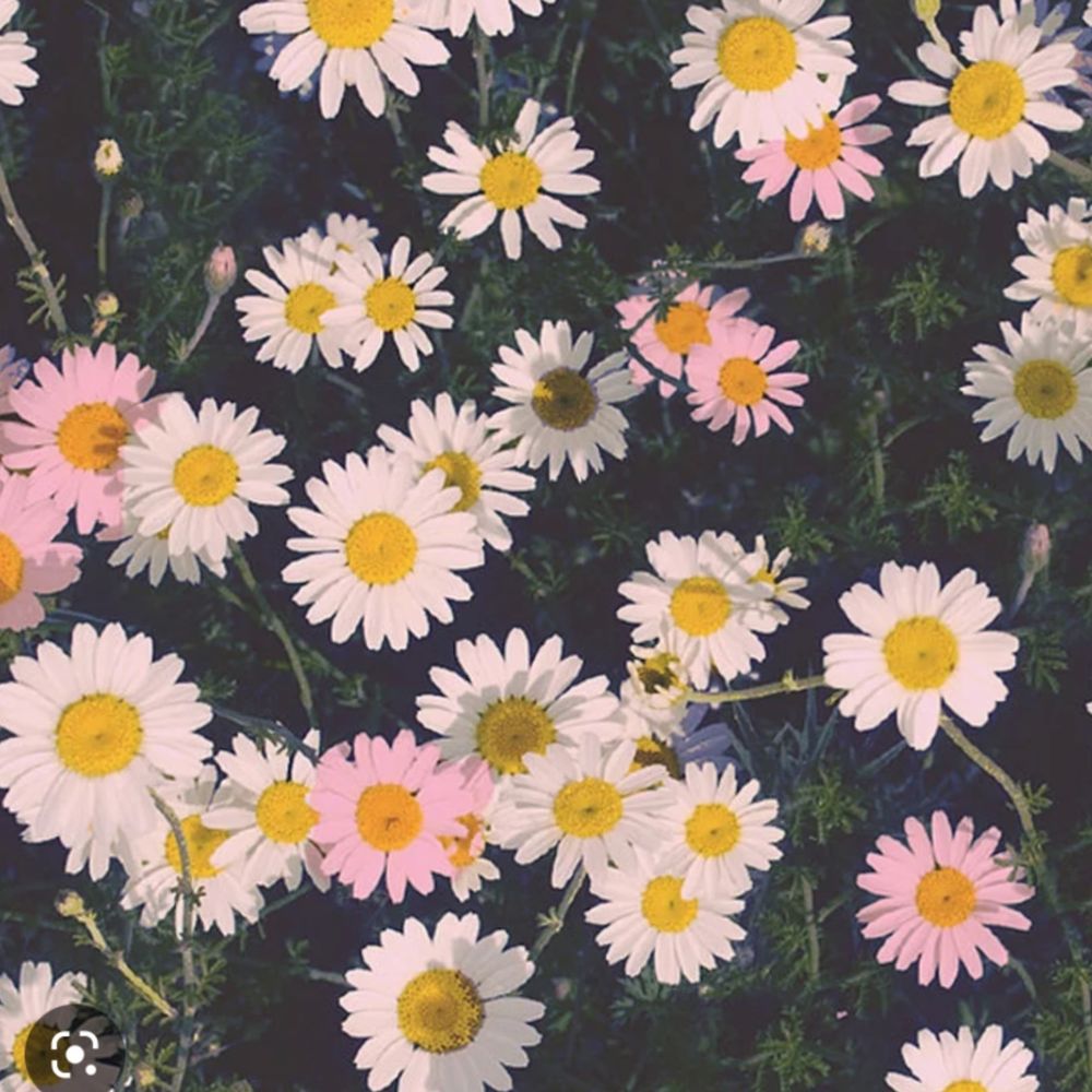 rainbowws OnlyFans profile picture