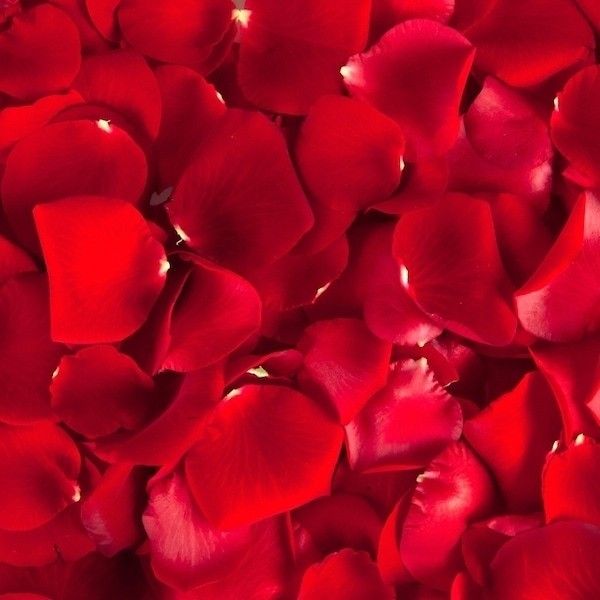 exotic_valentina OnlyFans profile picture
