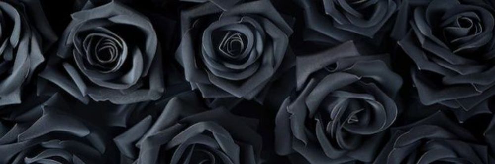 mistress_blanck OnlyFans profile picture