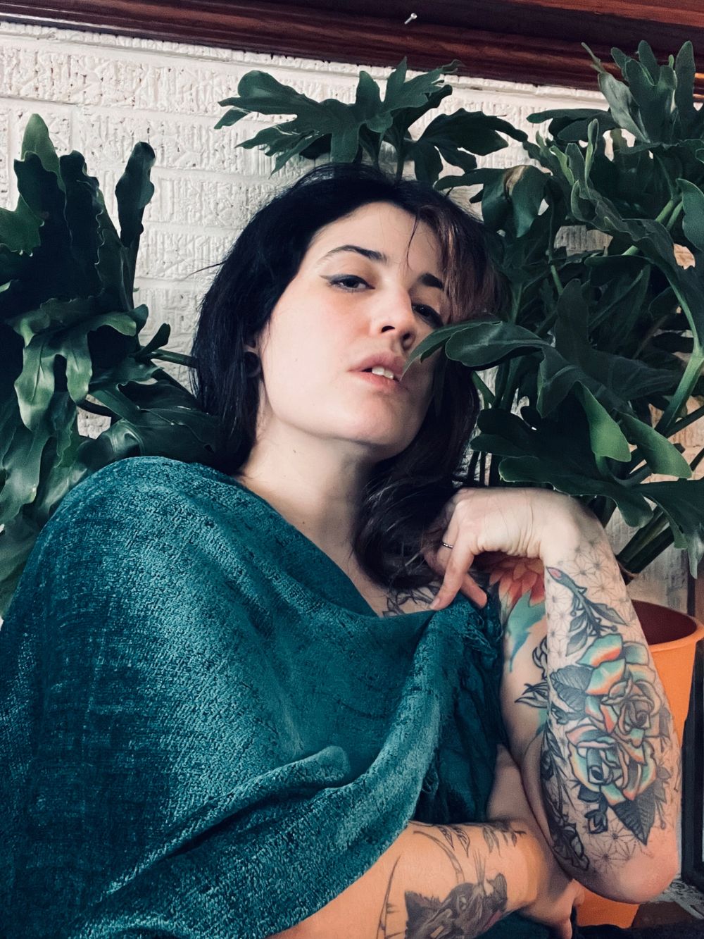 titsfortatt OnlyFans profile picture