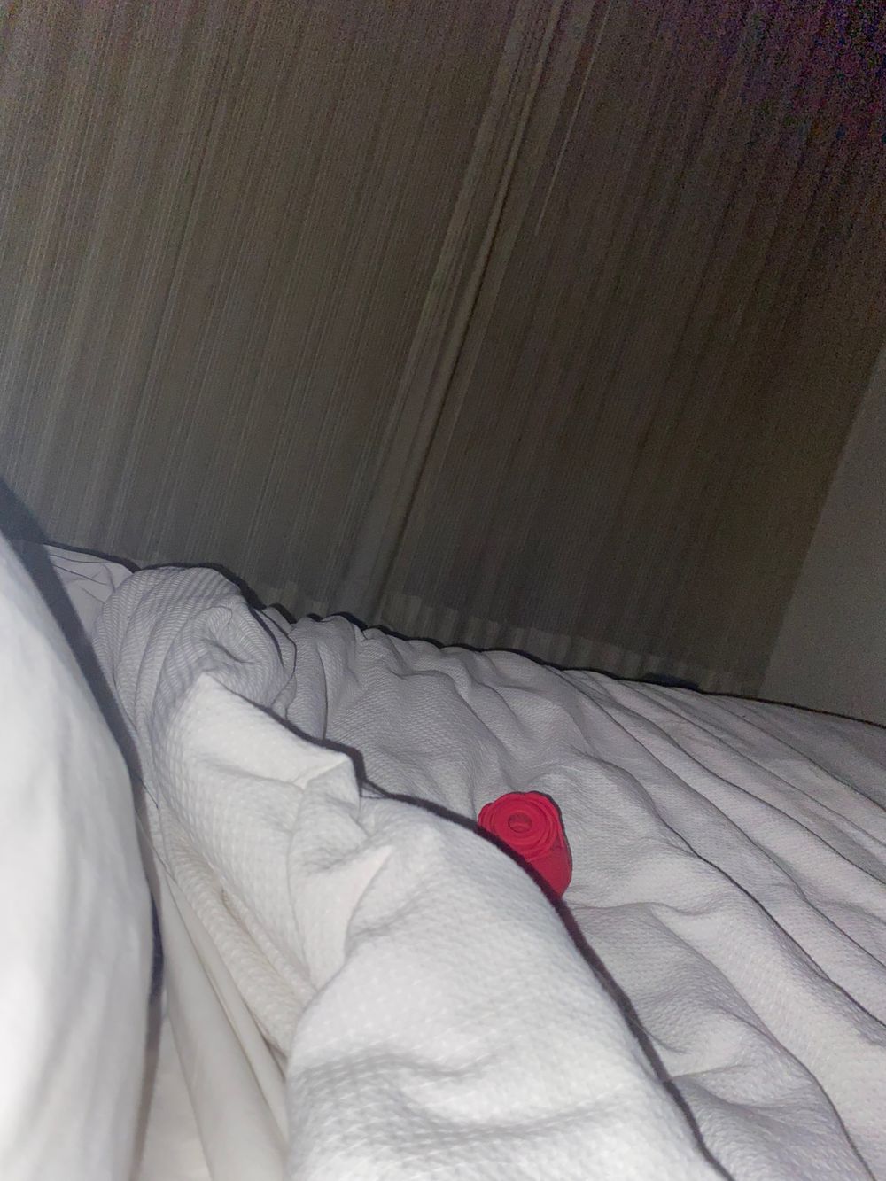 secretfetishexplorer OnlyFans profile picture