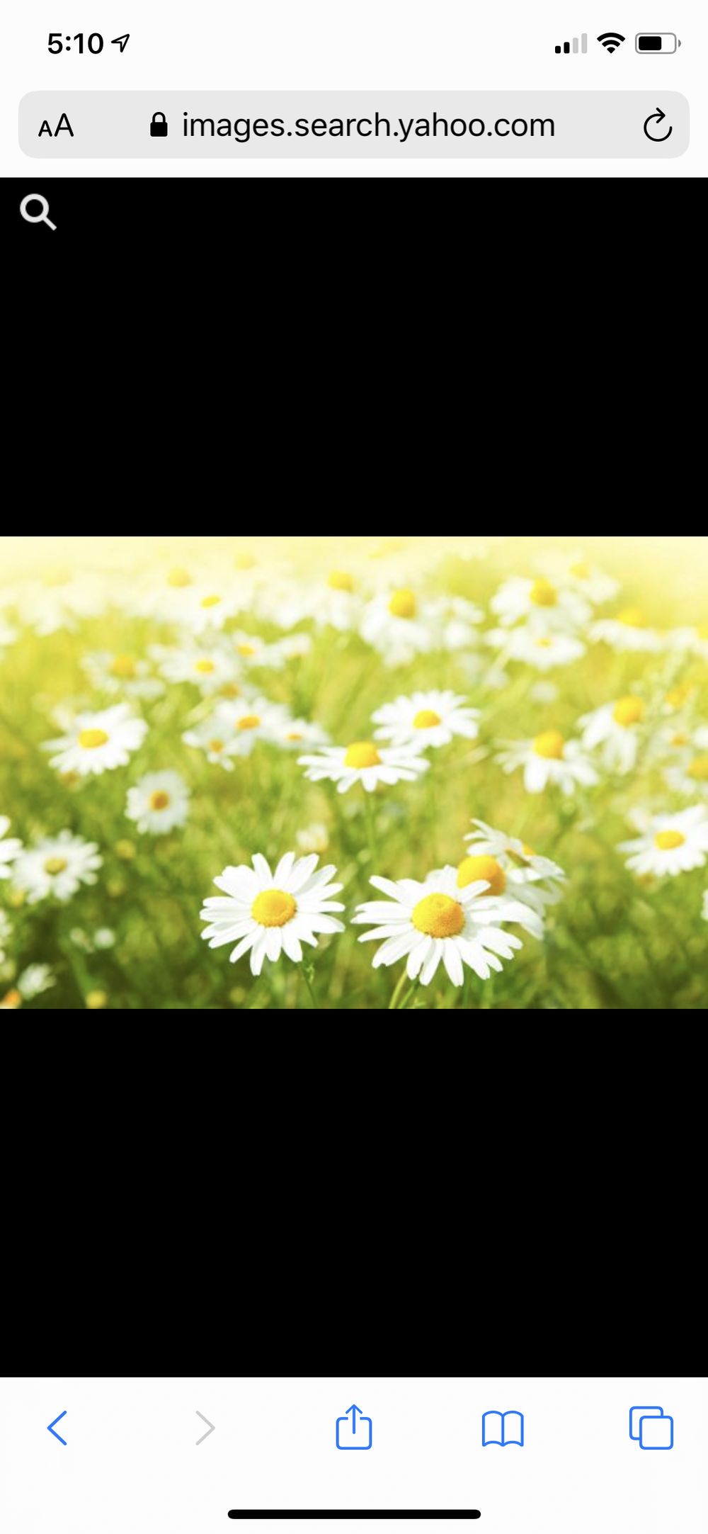 lovesdaisies OnlyFans profile picture