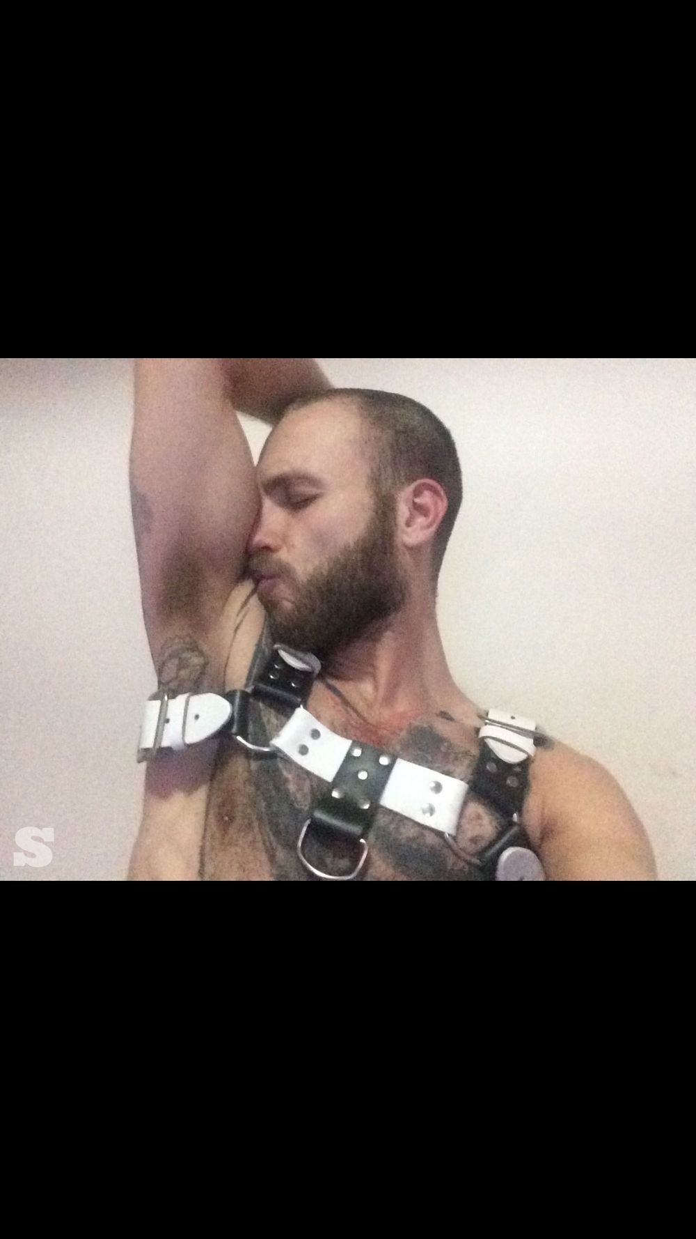 russianhairy OnlyFans profile picture