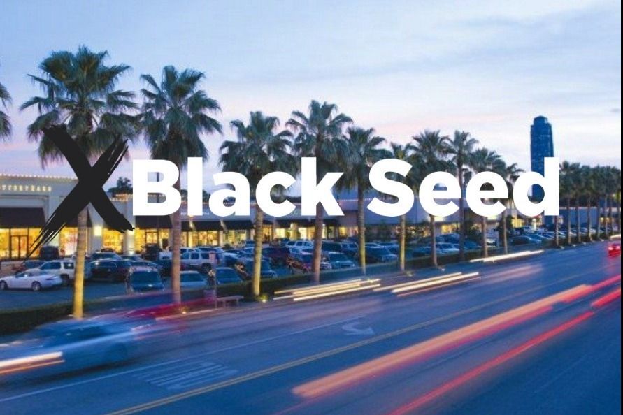 blackseedxxx OnlyFans profile picture
