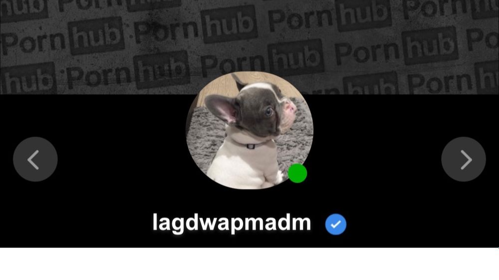 lagdwapmadm OnlyFans profile picture