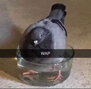 OnlyMemez