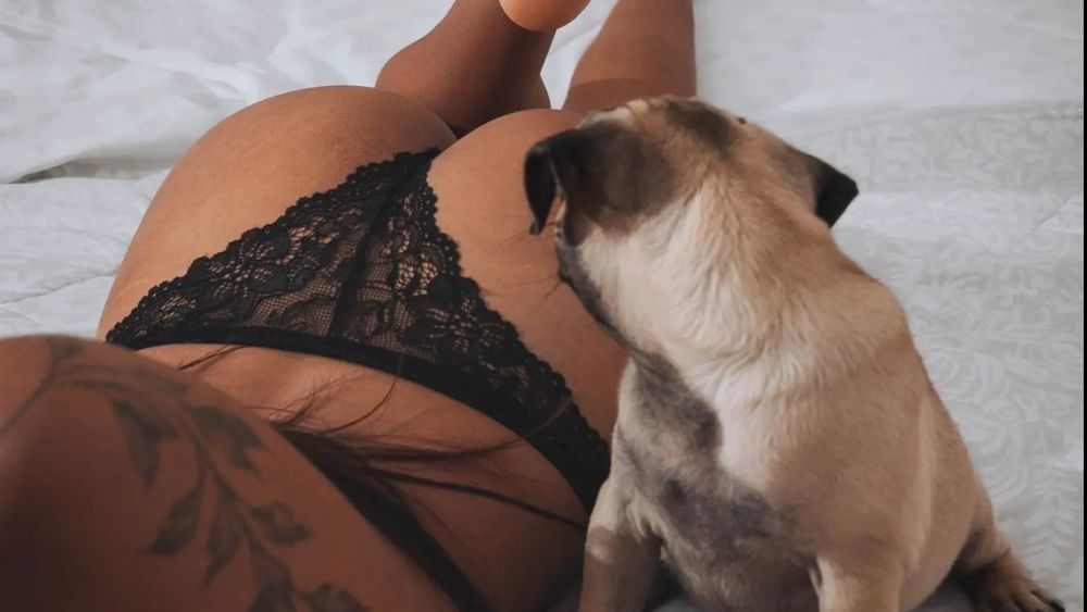 dannistr OnlyFans profile picture