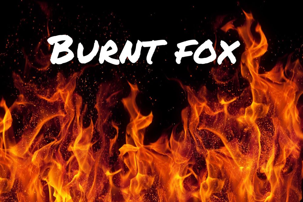 burntfox26 OnlyFans profile picture