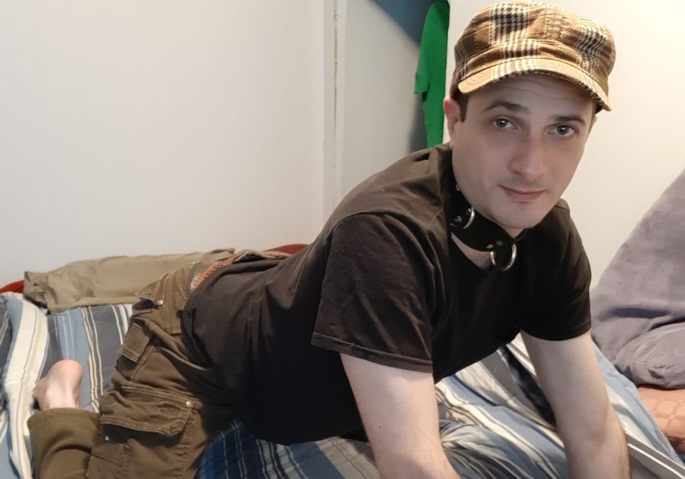 toypet OnlyFans profile picture
