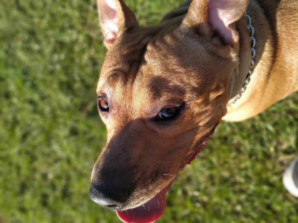 naughtyelf11 OnlyFans profile picture