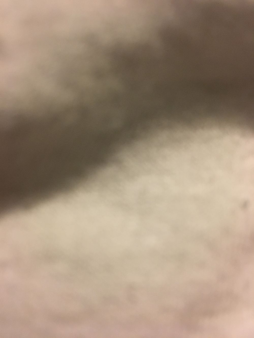 u52656335 OnlyFans profile picture