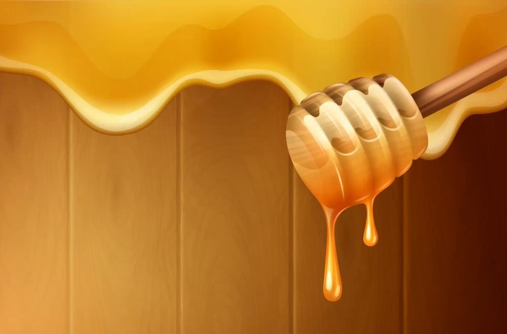 hunnybeed OnlyFans profile picture