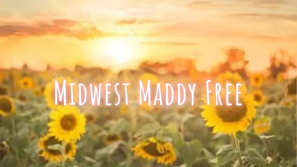 midwestmaddyfree OnlyFans profile picture