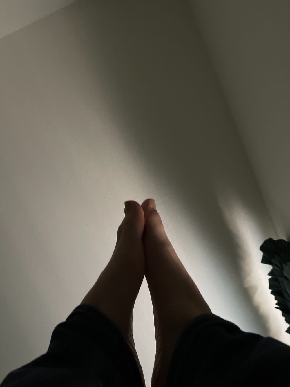 daddysfeet42069 OnlyFans profile picture
