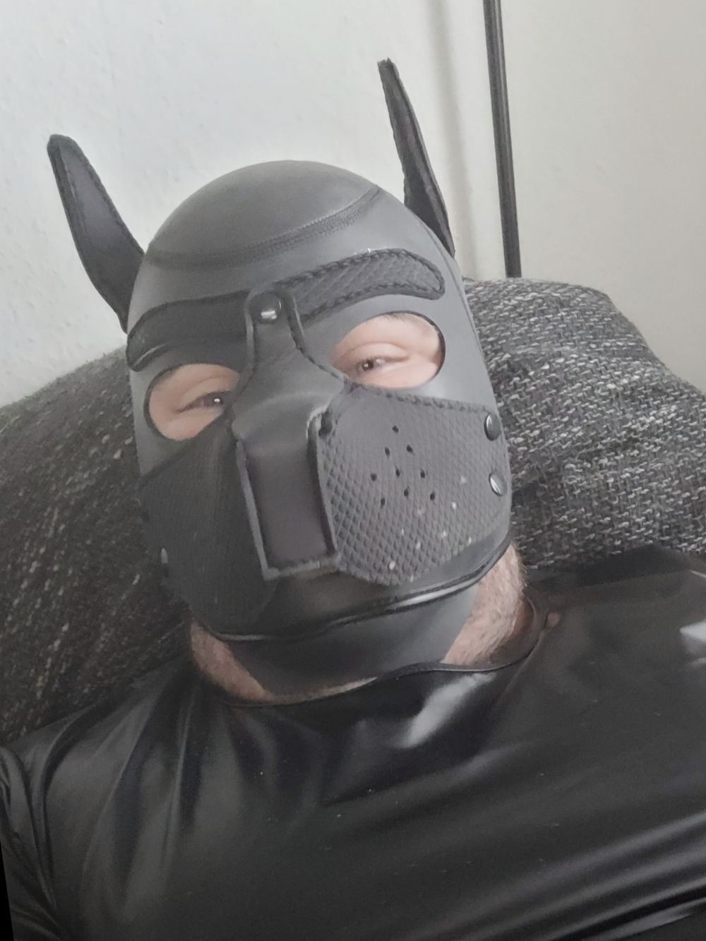 puppy_kecks OnlyFans profile picture