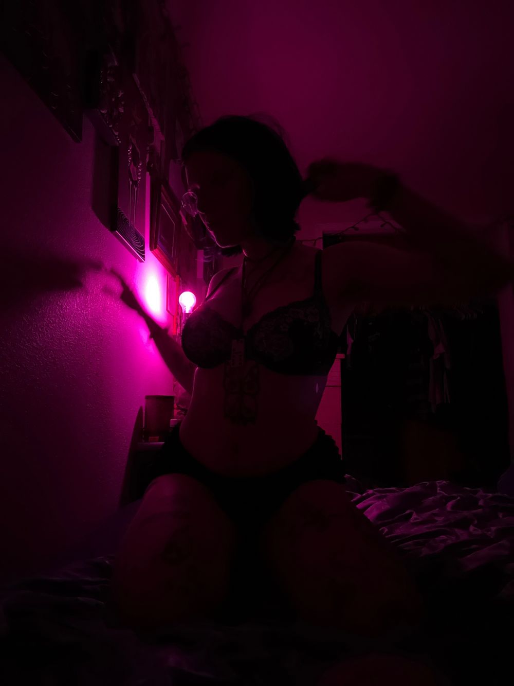 vexxedkitten OnlyFans profile picture