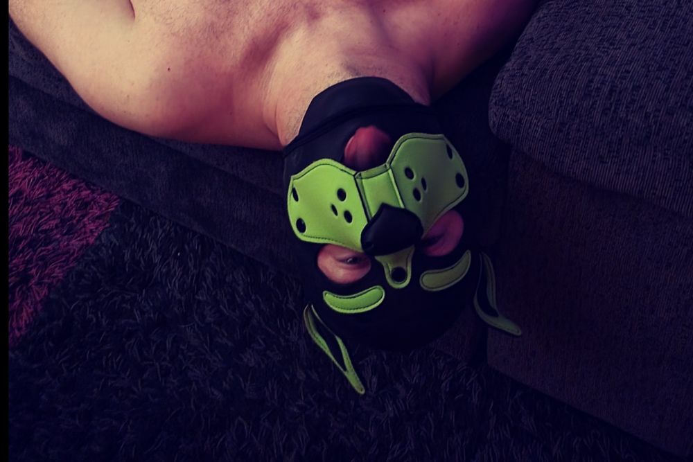 pup_spot OnlyFans profile picture