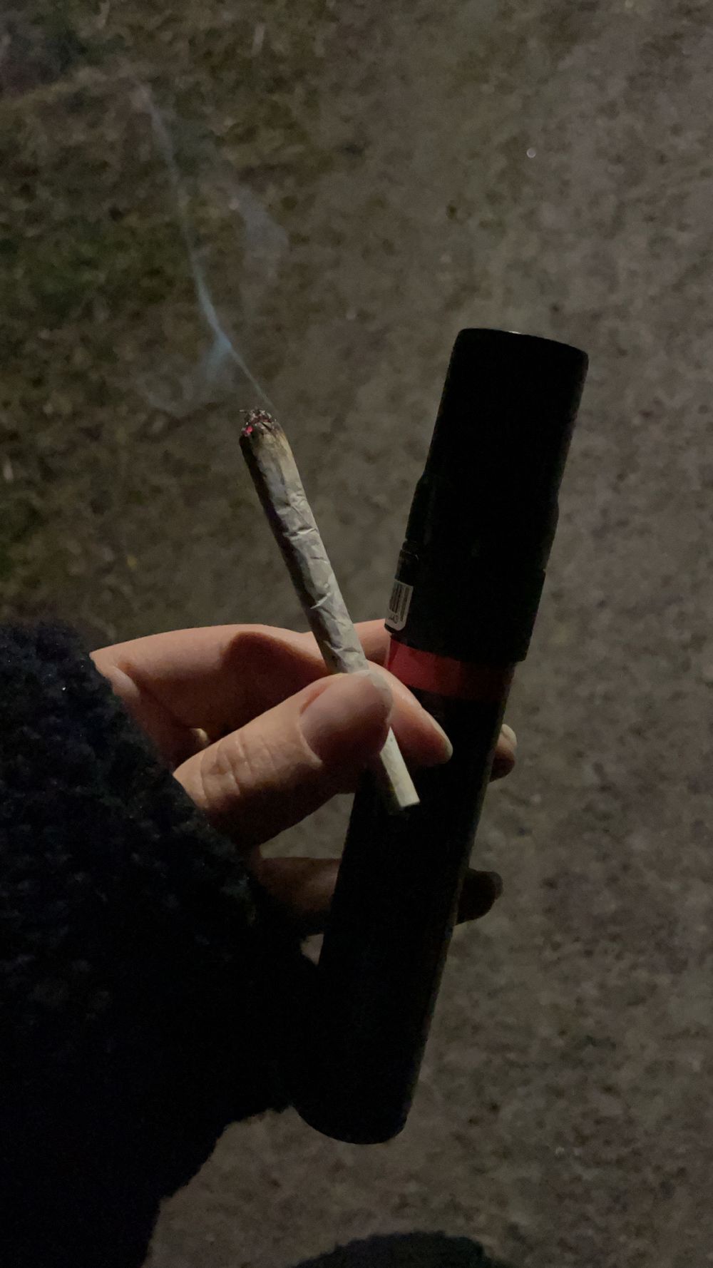 ex0rcistflickan OnlyFans profile picture