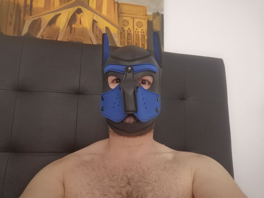 puppyboth OnlyFans profile picture