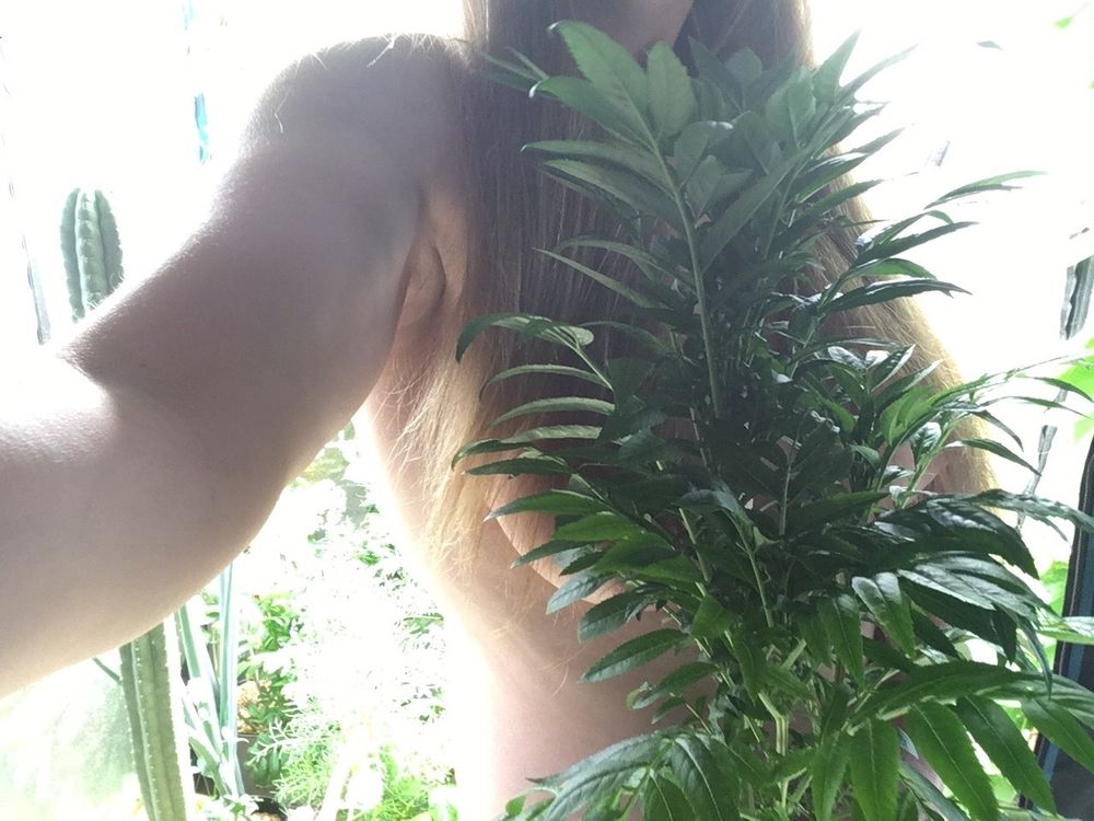 goddessgarden OnlyFans profile picture