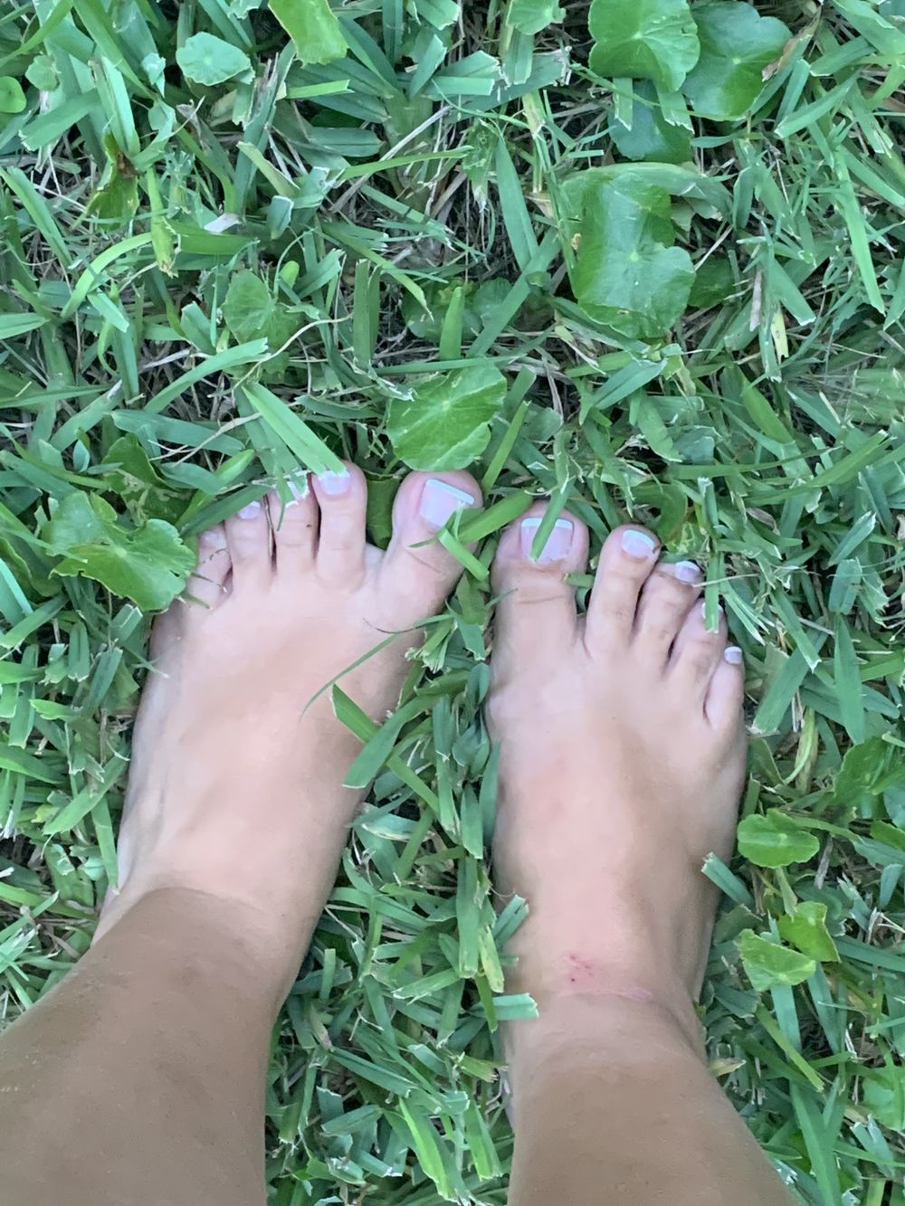 taloolastoes OnlyFans profile picture