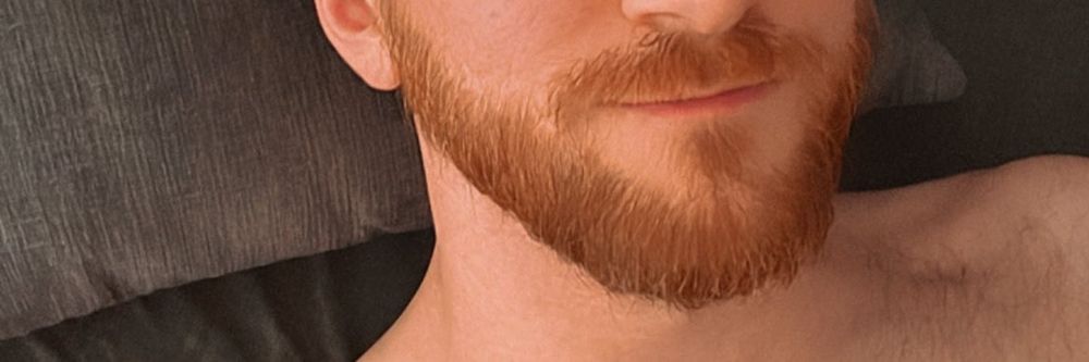 argingerxl OnlyFans profile picture