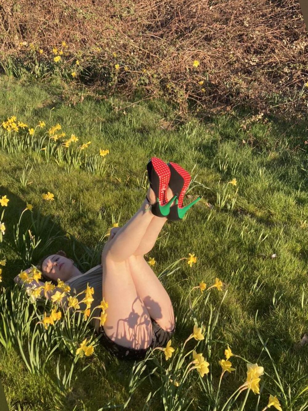 daffodil.ily OnlyFans profile picture