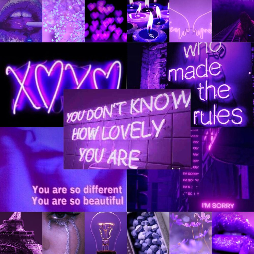 basskittenvibes OnlyFans profile picture