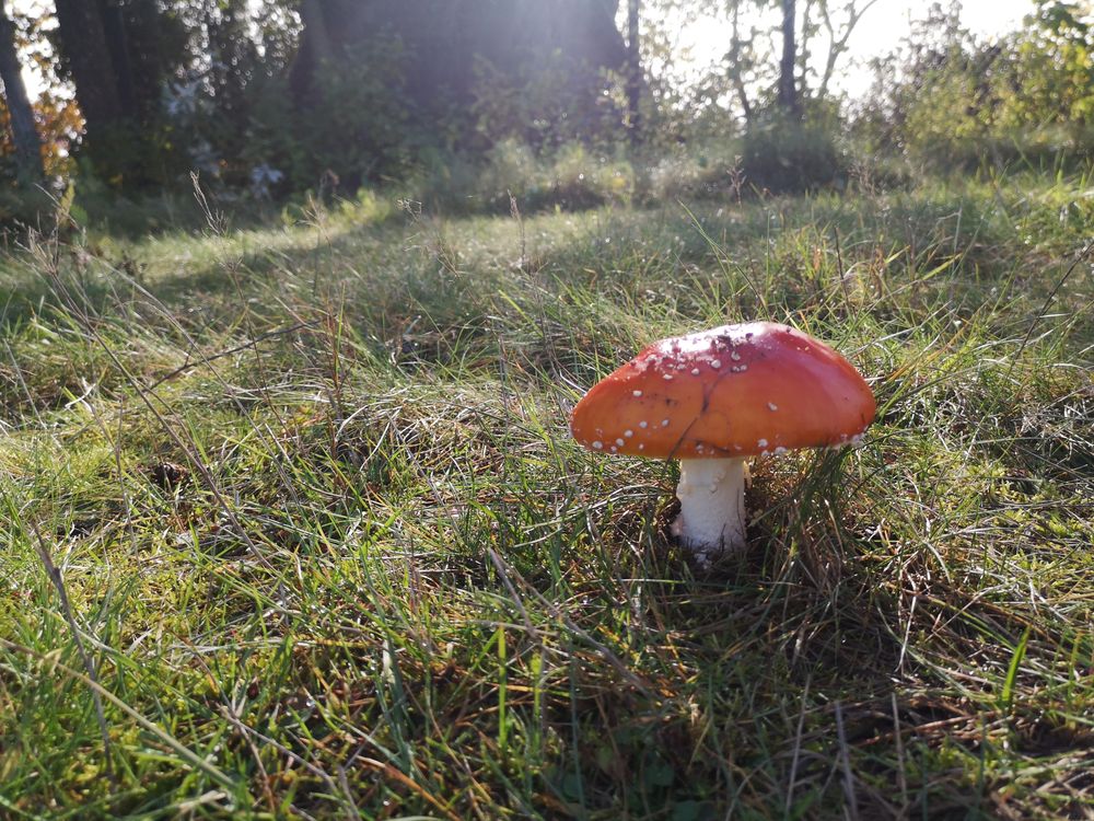 u75502158 OnlyFans profile picture