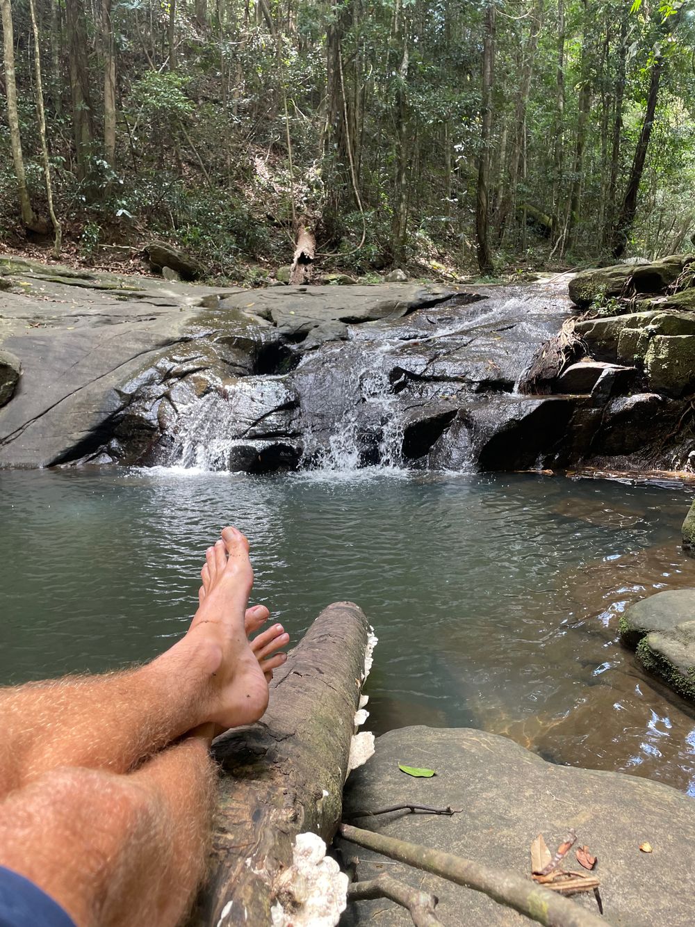 adventurepattio OnlyFans profile picture