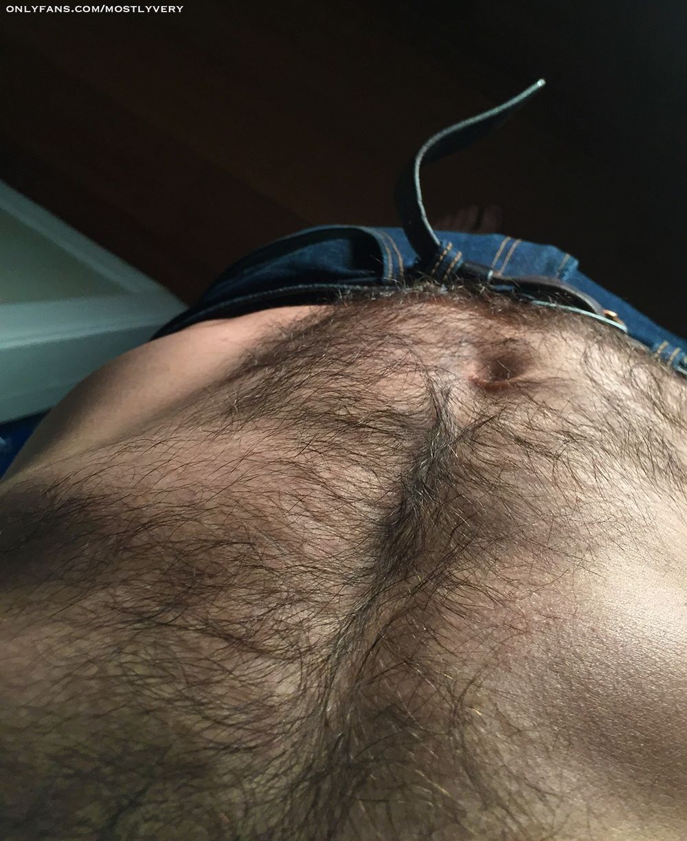 lostlandofbush OnlyFans profile picture