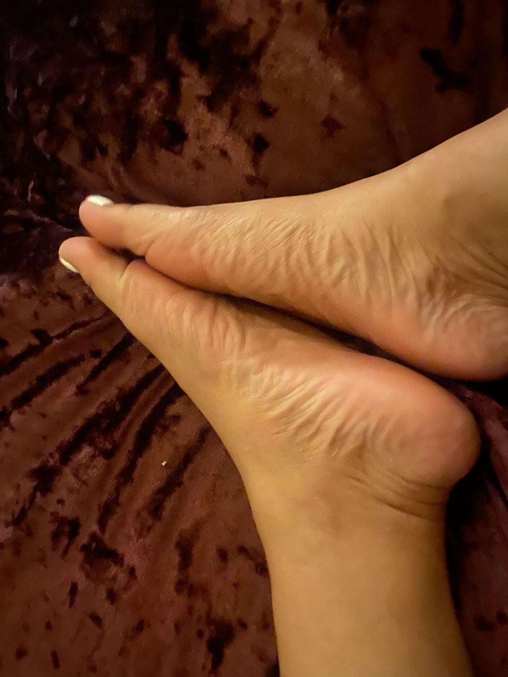 thatpinkfootbitch OnlyFans profile picture