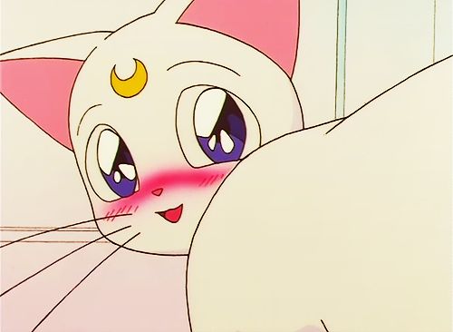 meowbabyx OnlyFans profile picture