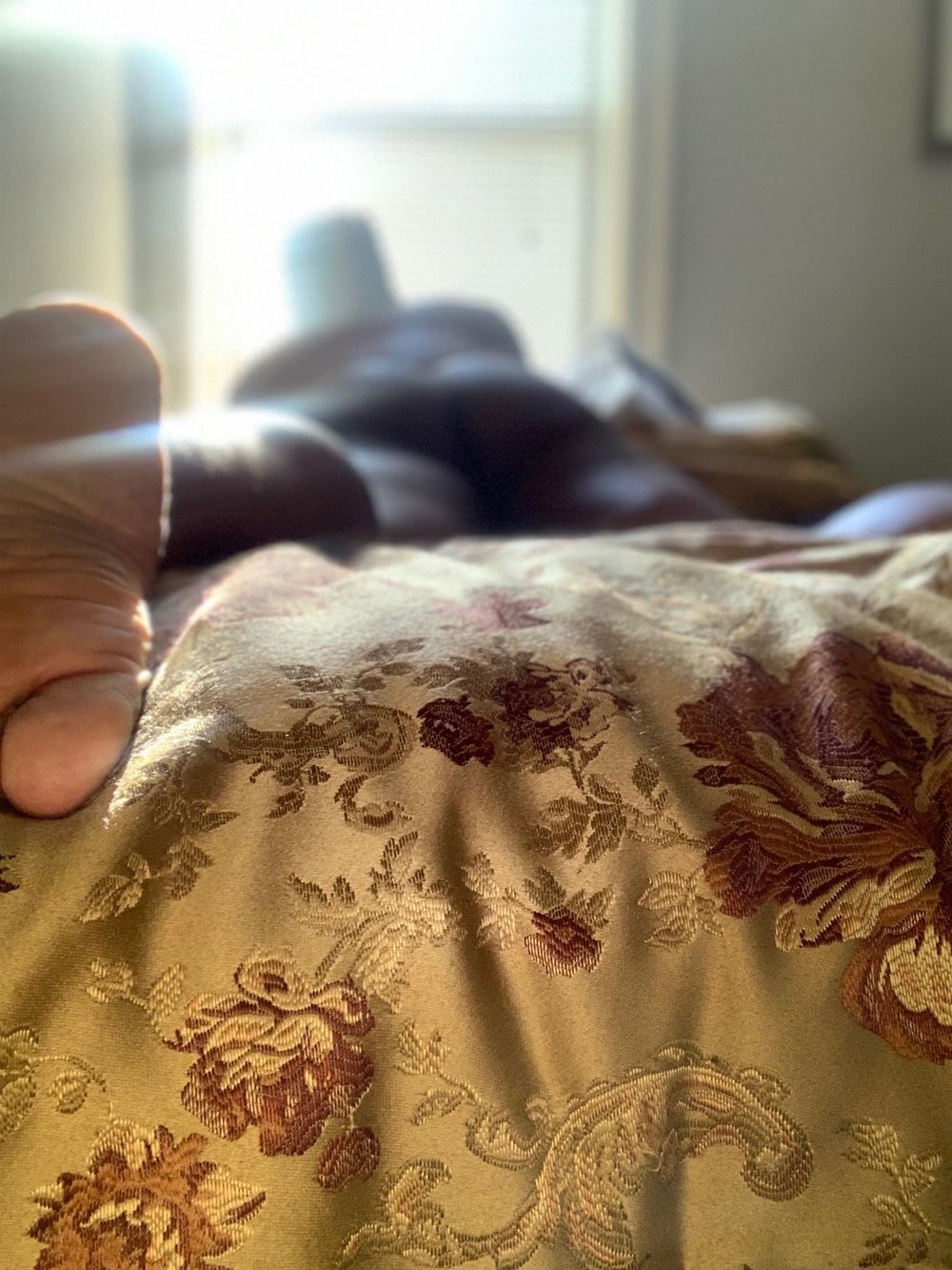 breedmeseymour1 OnlyFans profile picture